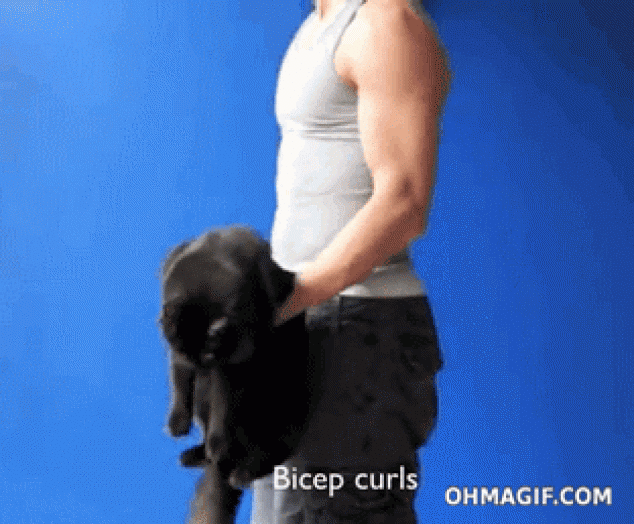 Amigo haciendo bíceps rizos con un gato