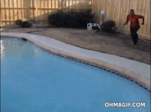 Salto fallido en la piscina